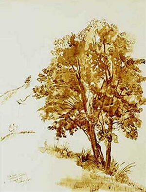 Children flying kites on oak tree Prati Piani Ligurian Riviera