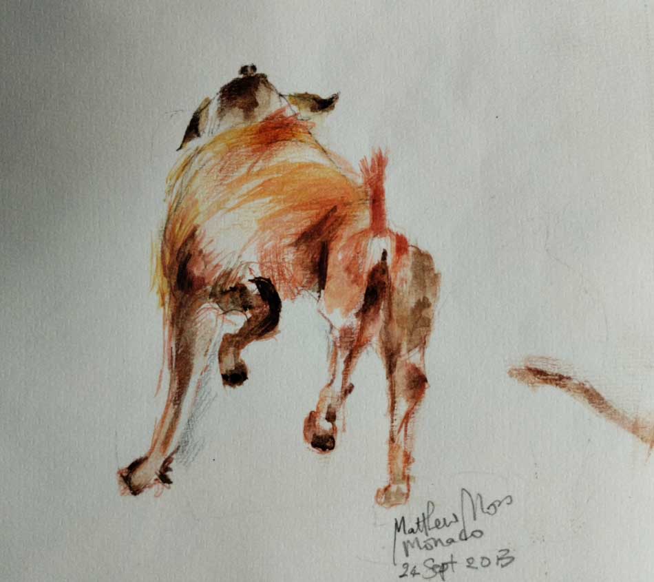 DOG REAR VIEW