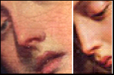 FEMALE NOSE FORMATION copy