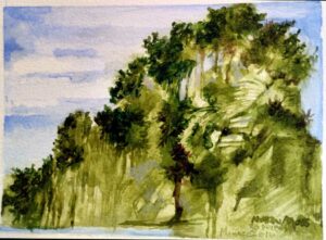 Monaco landscape encrusted with a layer of foliagw