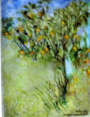 SANREMO LEMON TREE