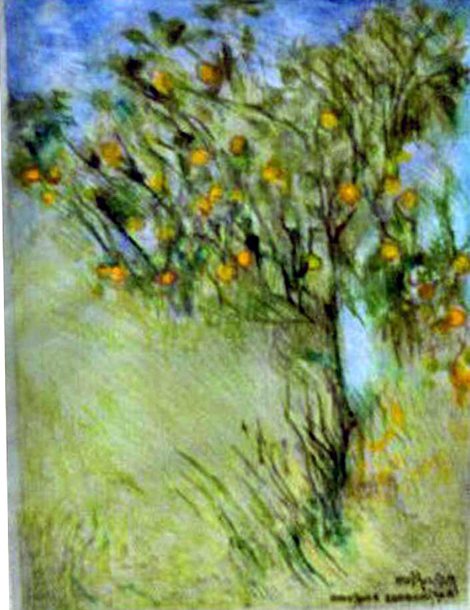SANREMO LEMON TREE