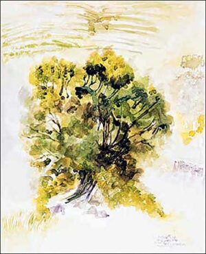 Tree silhouetted against a terraced Liguria Riviera hillside