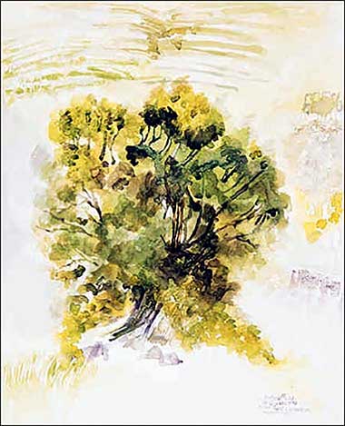 Tree silhouetted against a terraced Liguria Riviera hillside
