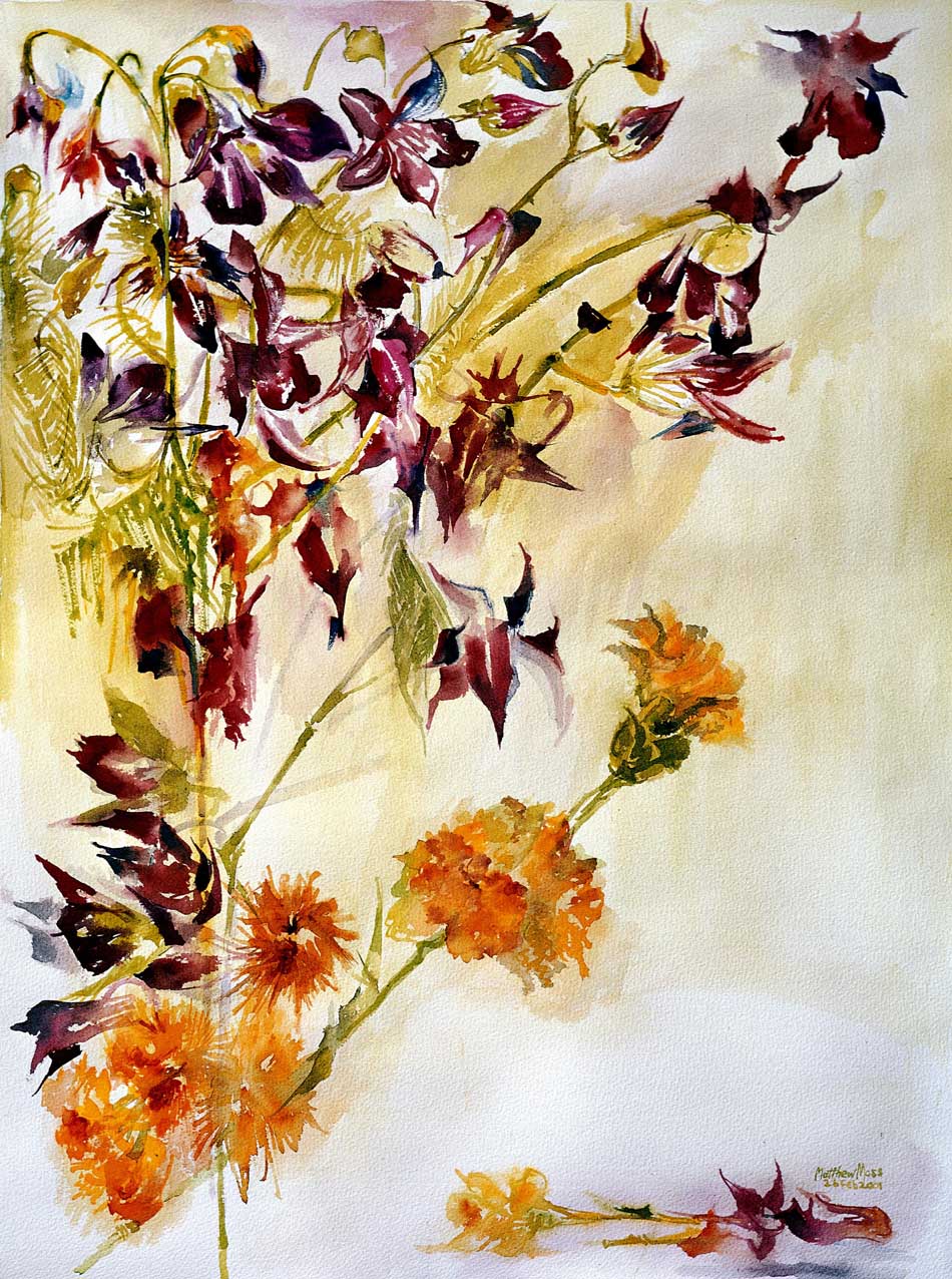 WILDFLOWERS WATERCOLOUR